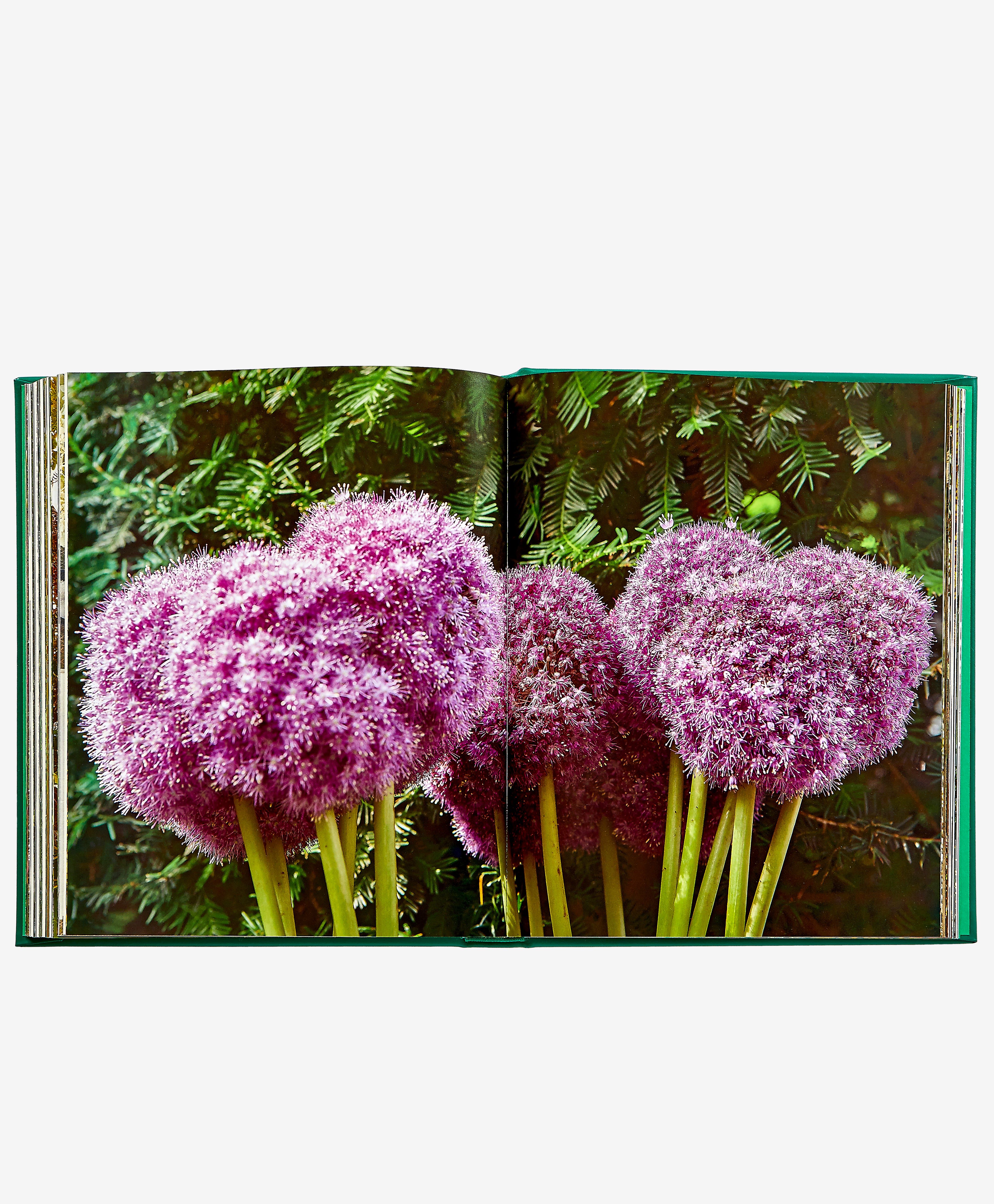 Bunny Williams: Life in the Garden