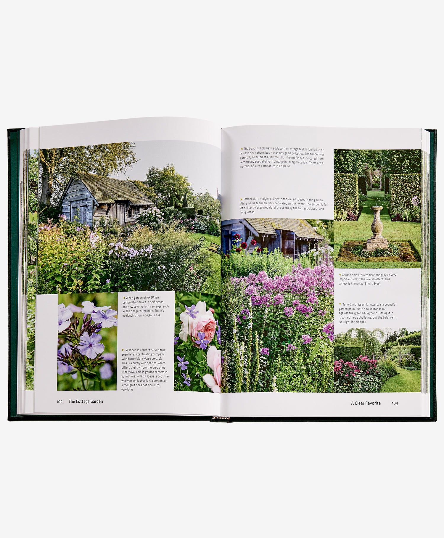 The Cottage Garden
