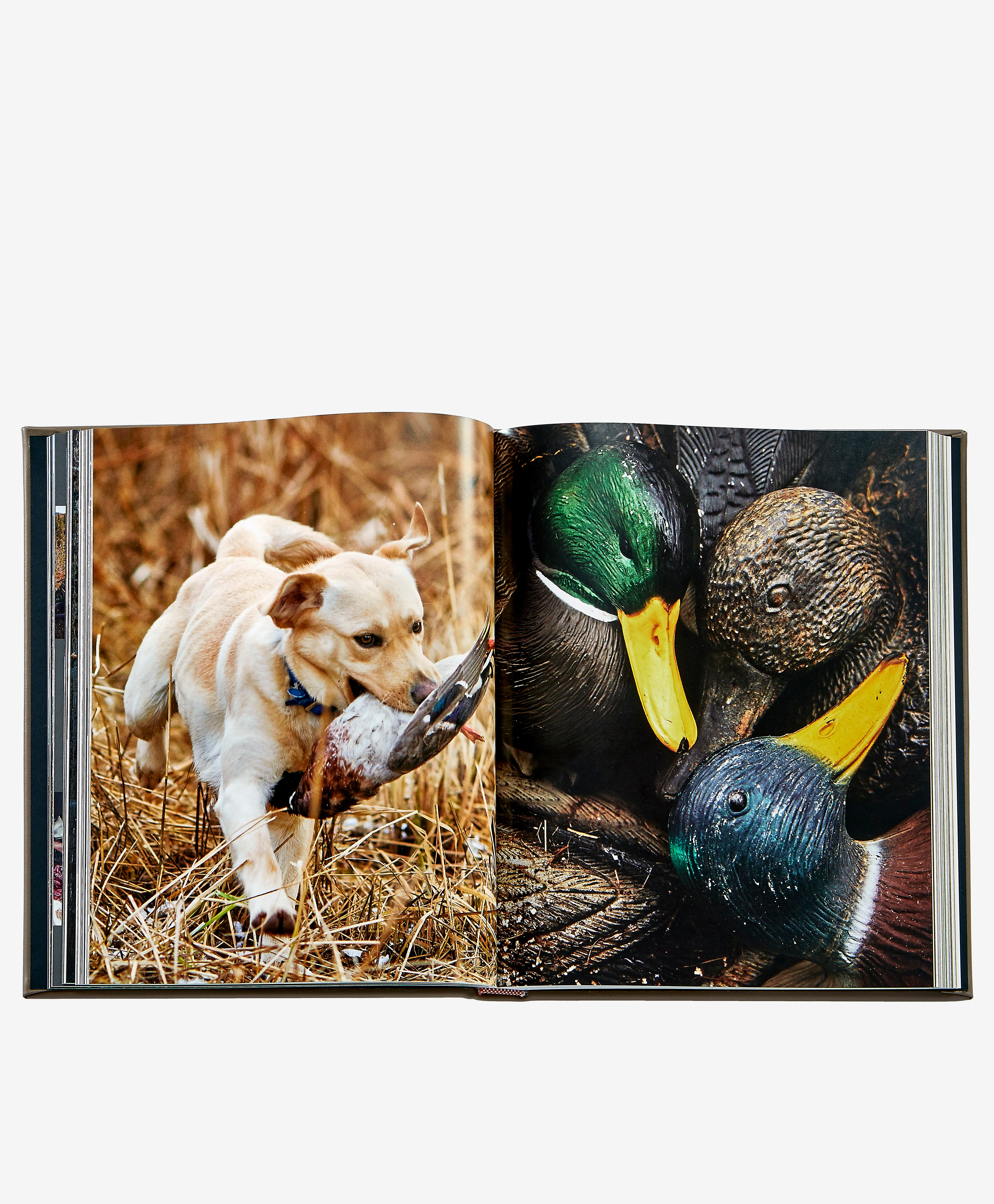 The Meateater Fish and Game Cookbook