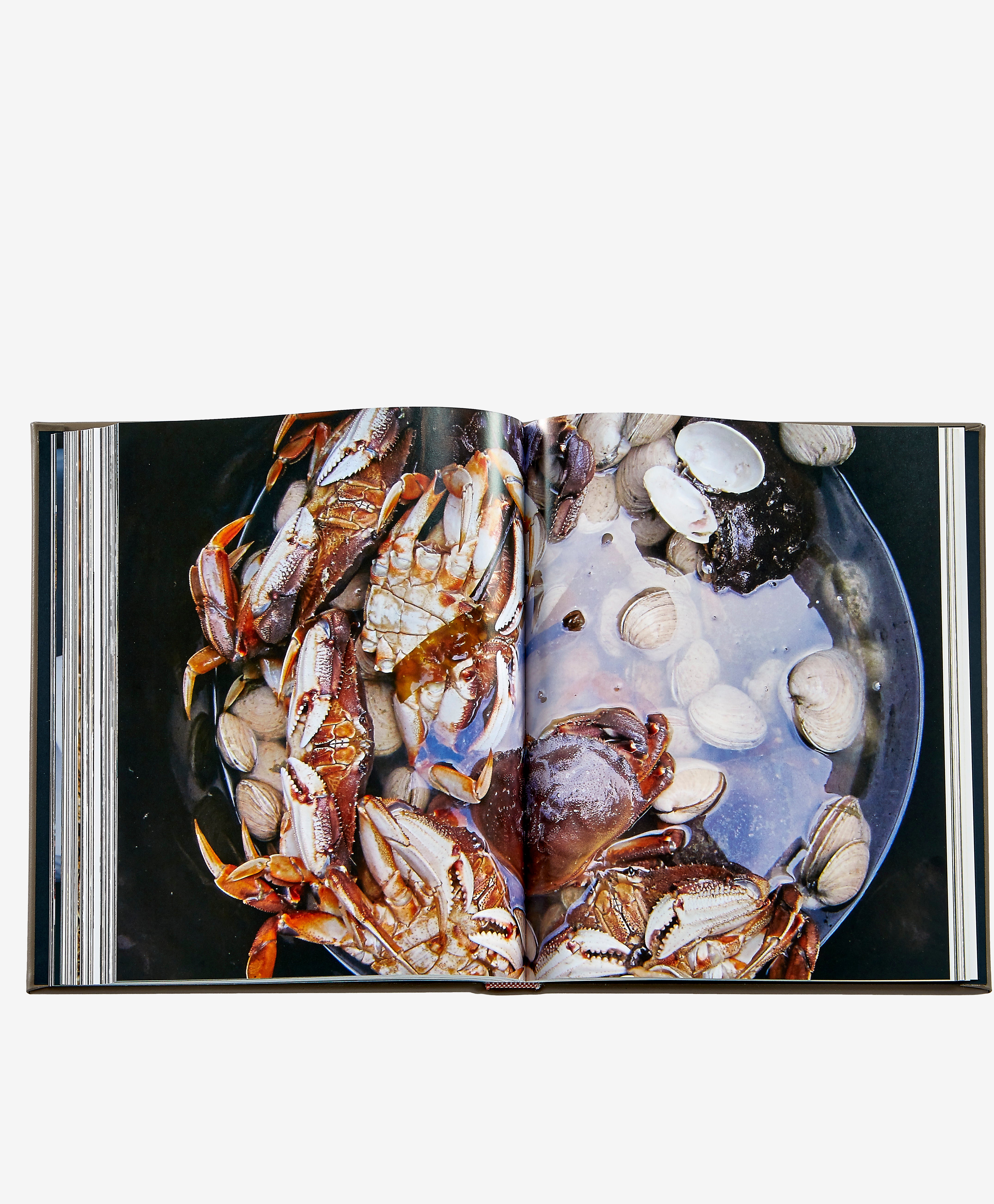 The Meateater Fish and Game Cookbook