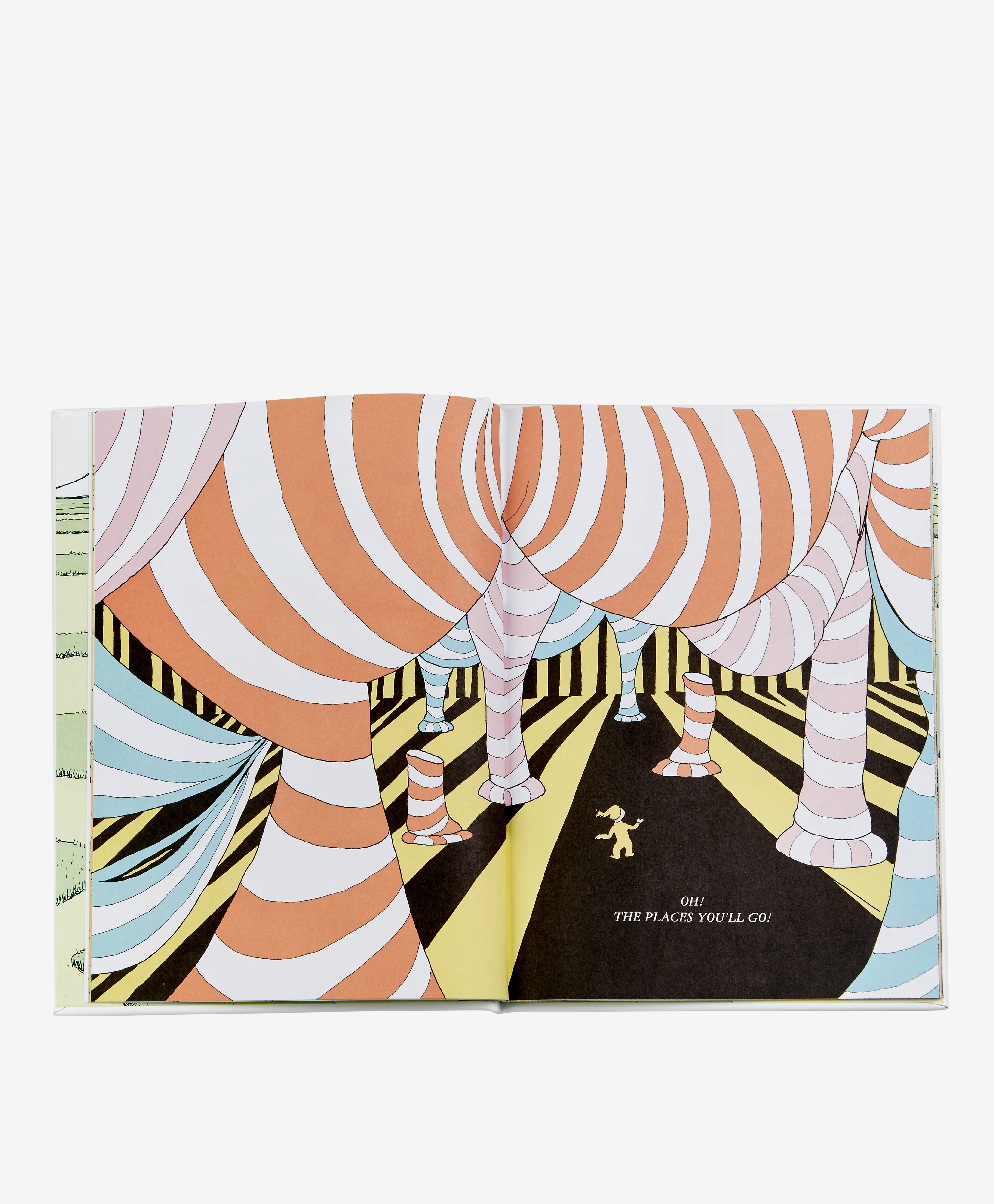 Oh The Places You'll Go!