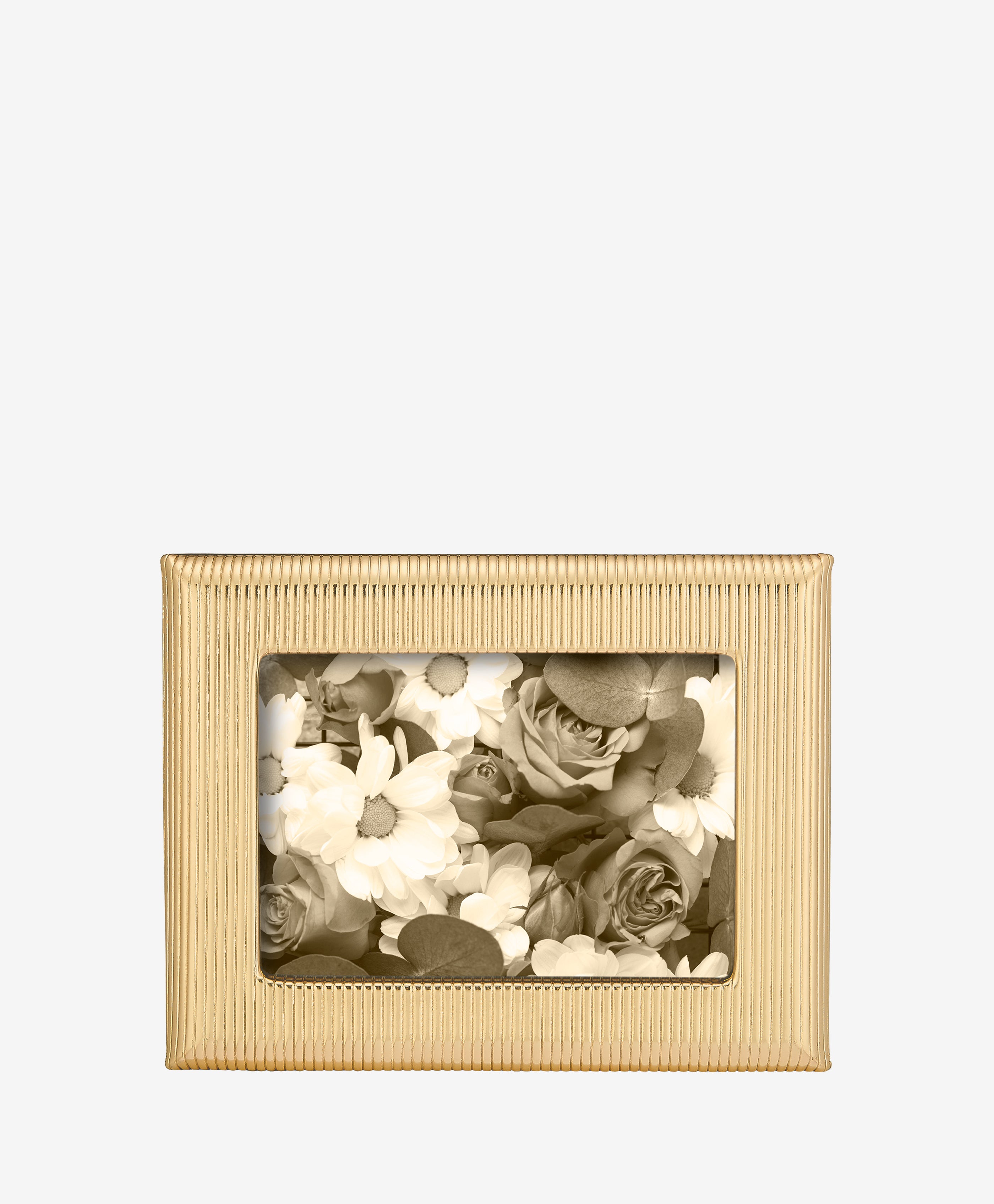 5" x 7" Profile Studio Frame