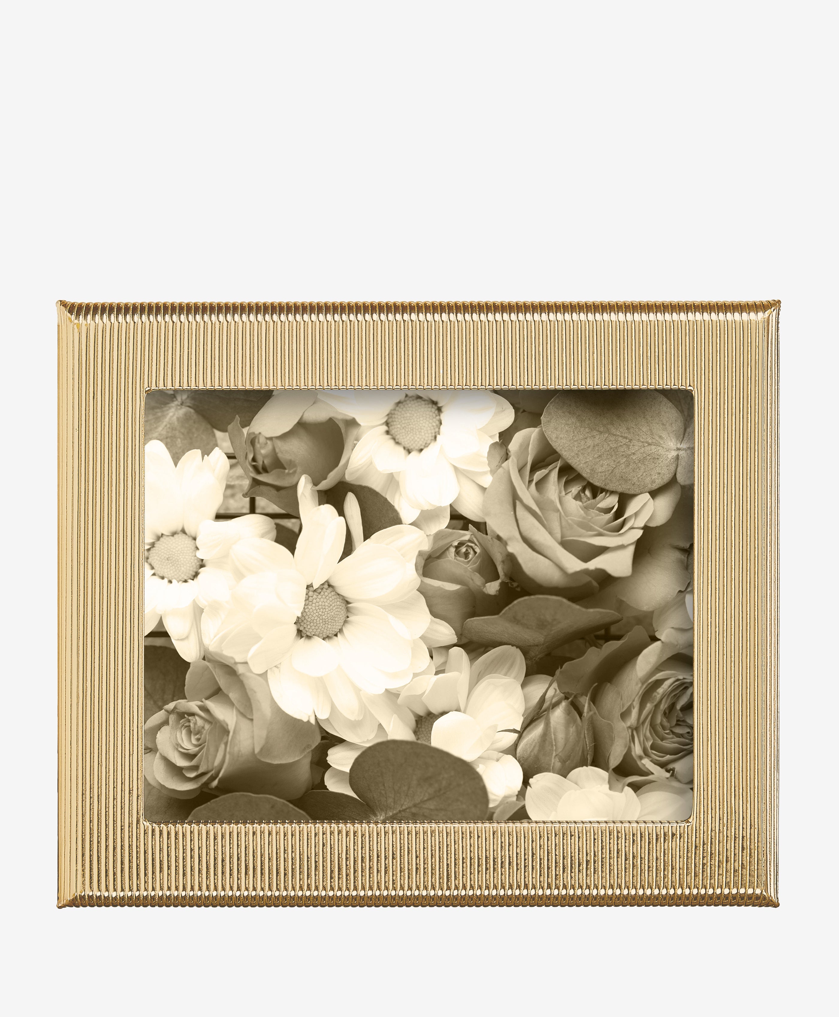 8" x 10" Profile Studio Frame