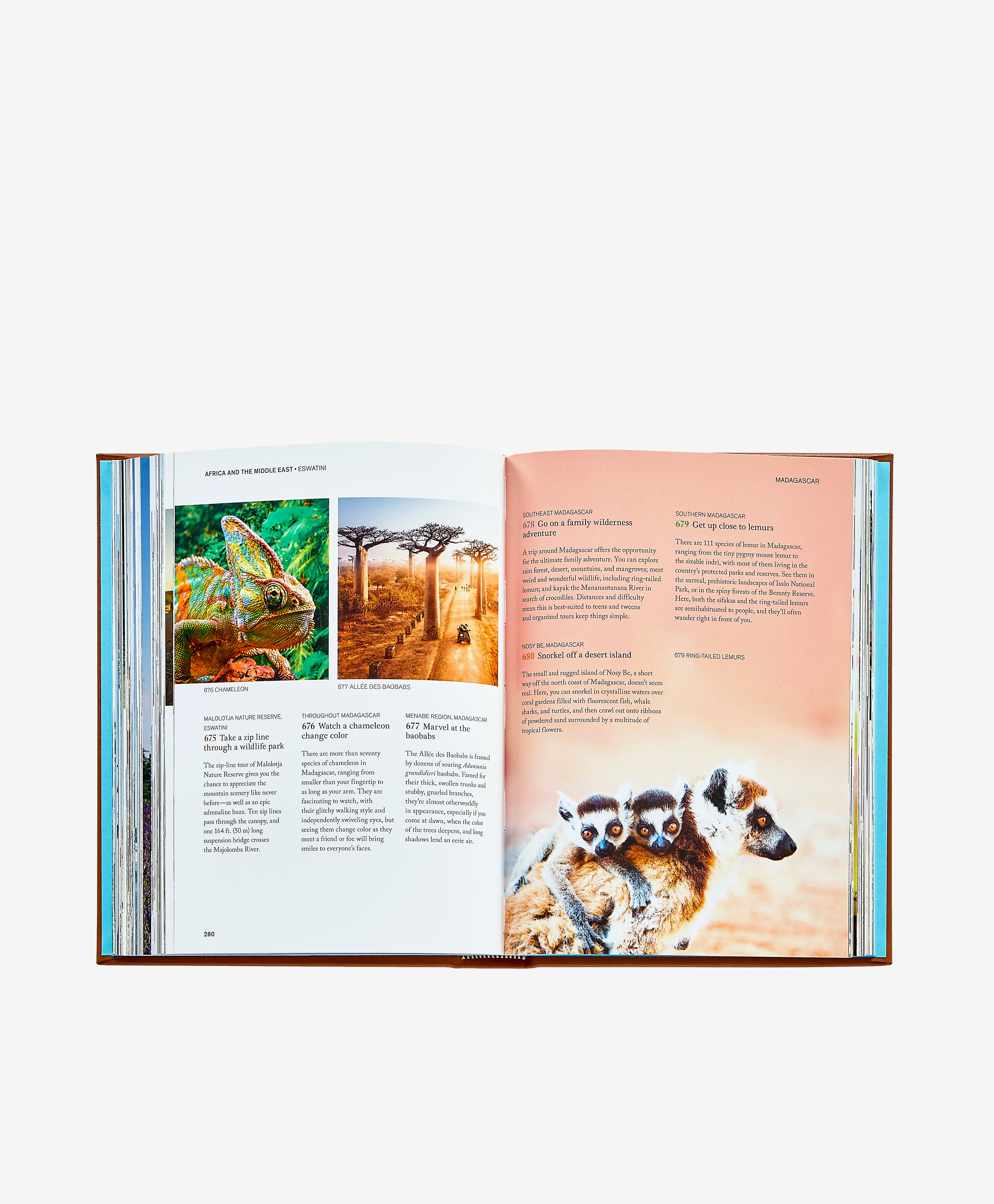 The Family Bucket List