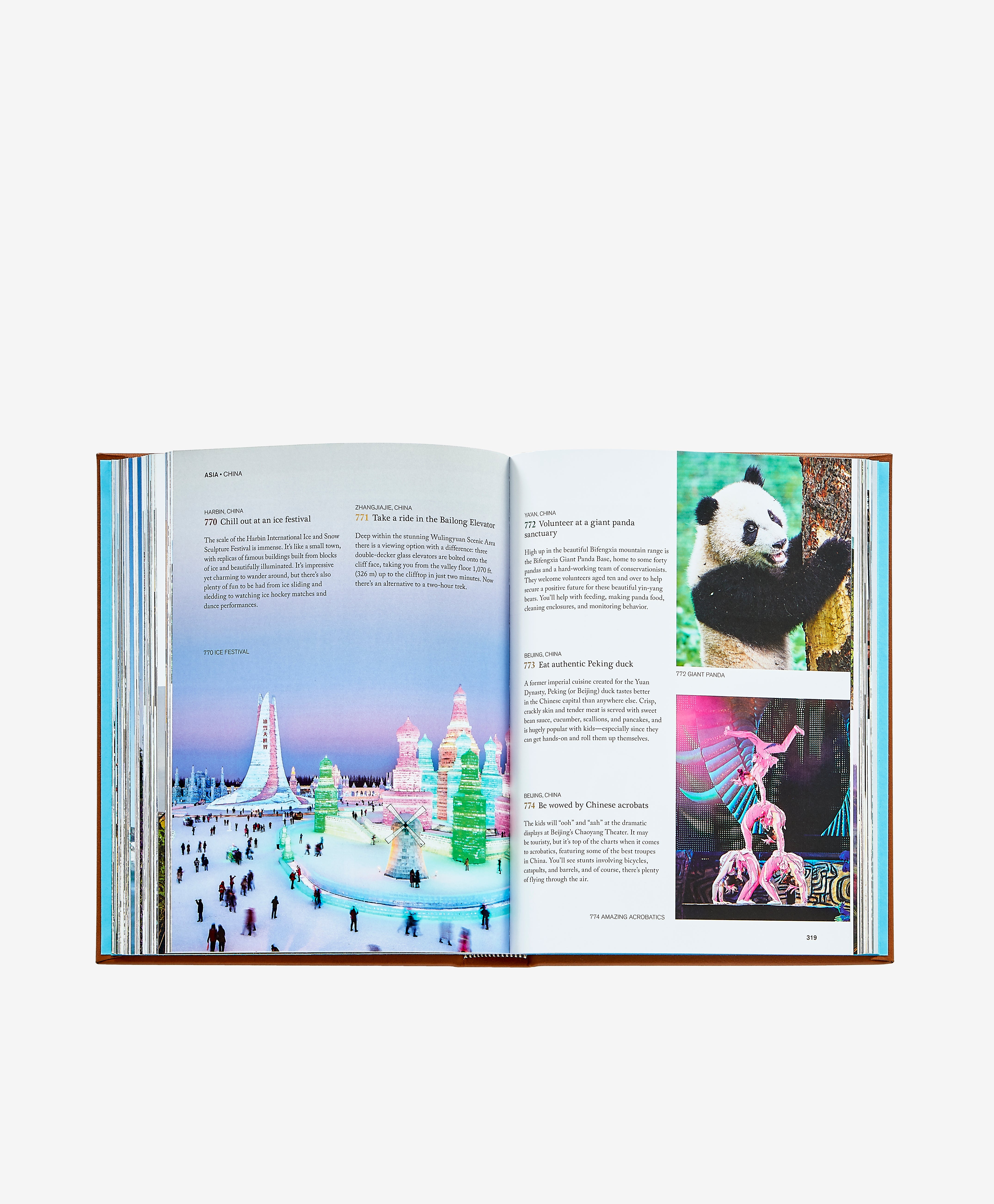 The Family Bucket List