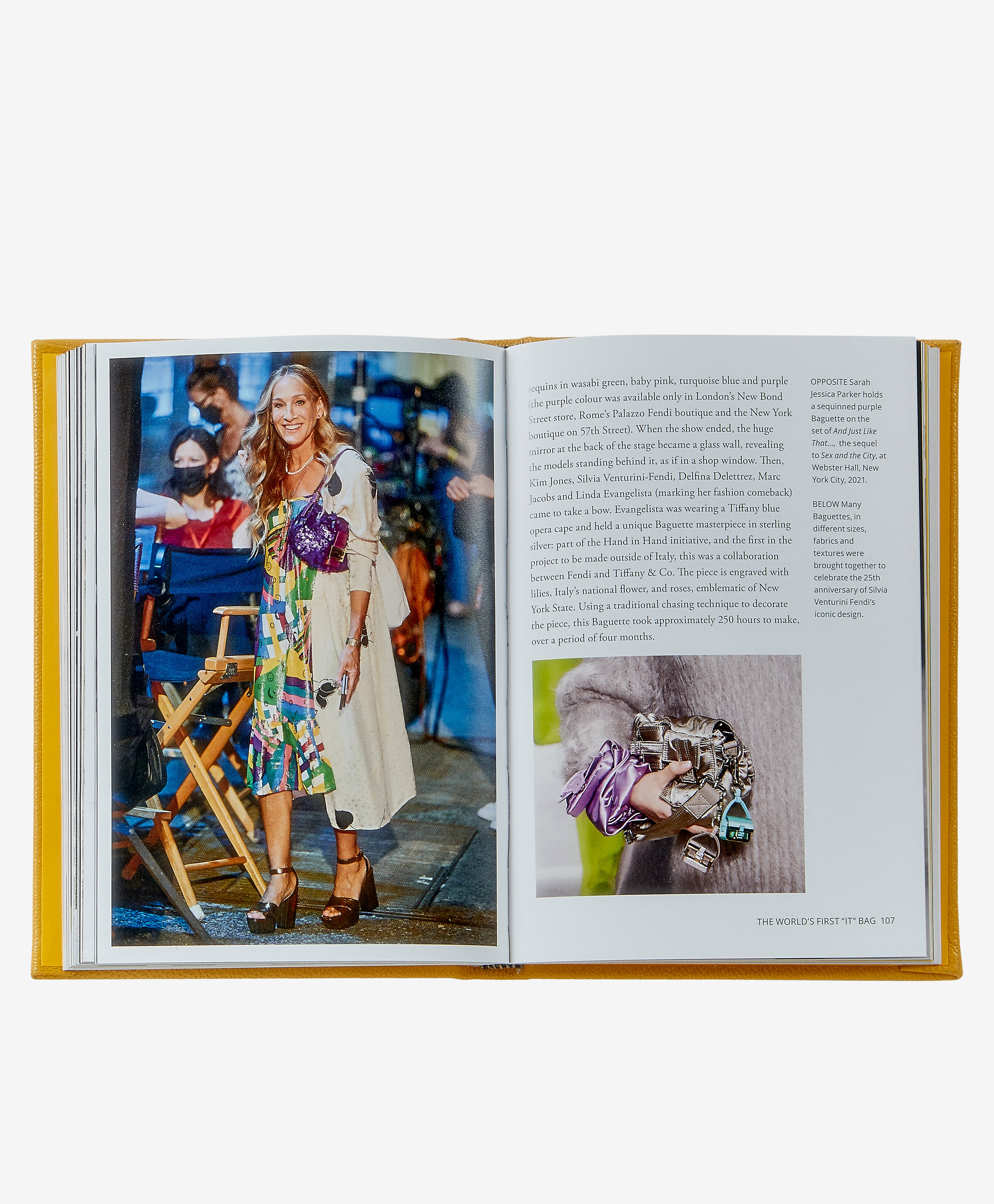Little Book of Fendi