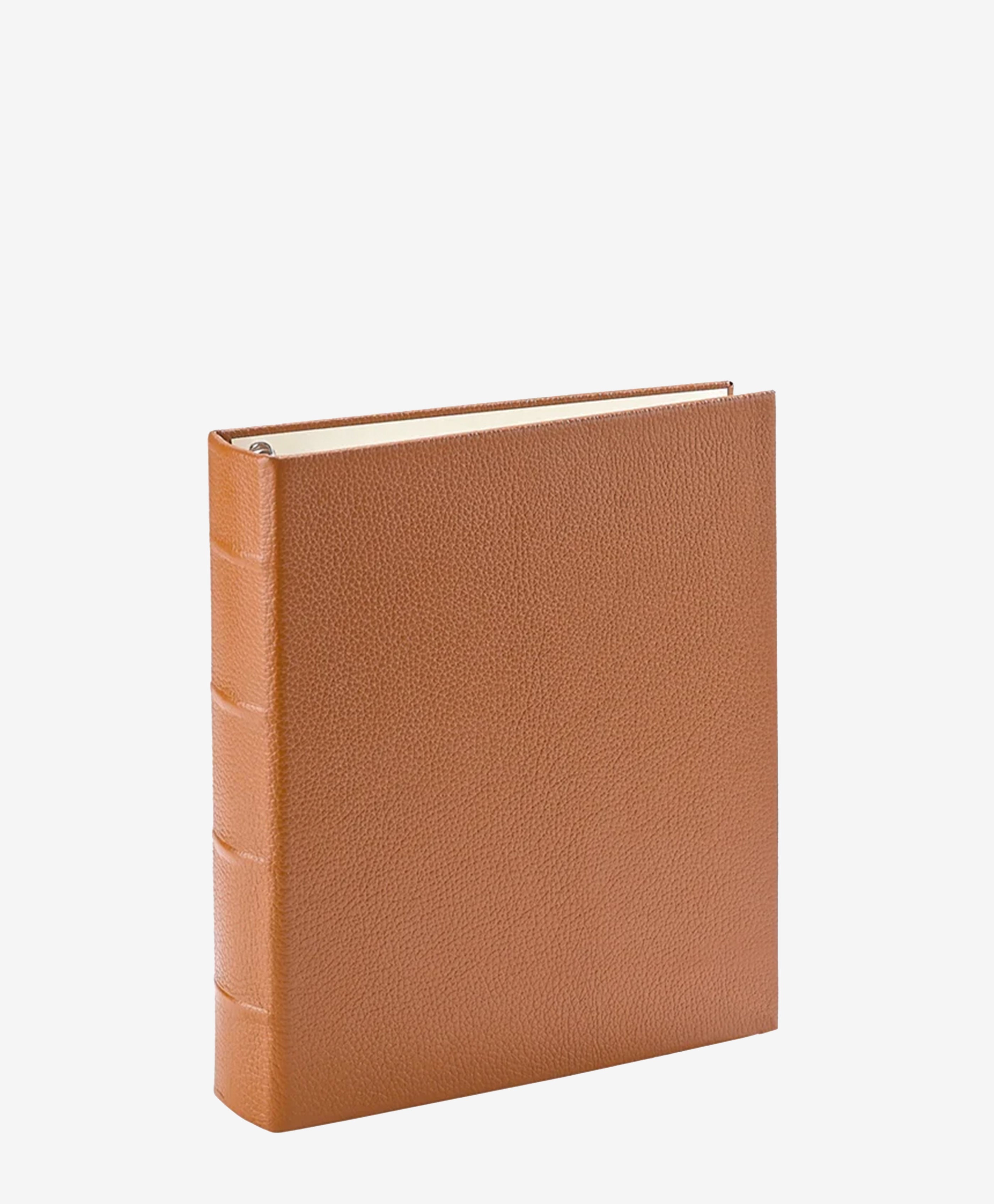Medium 4-Ring Clear Pocket Album