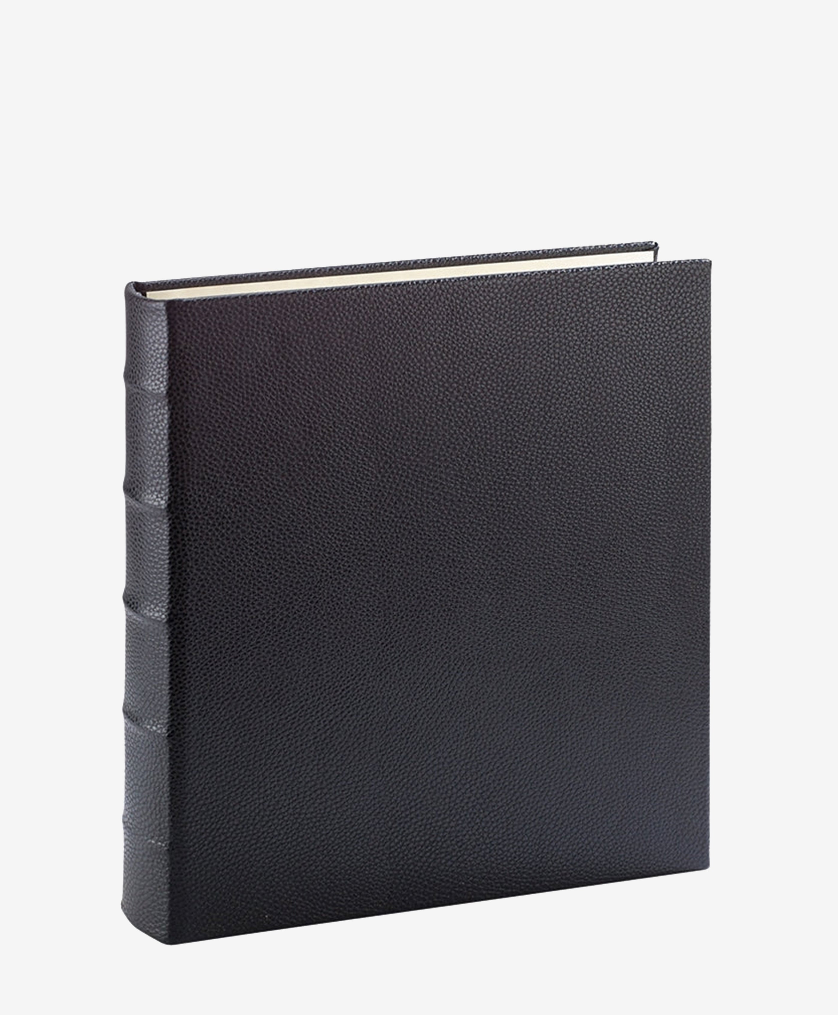 Large 3-Ring Clear Pocket Album