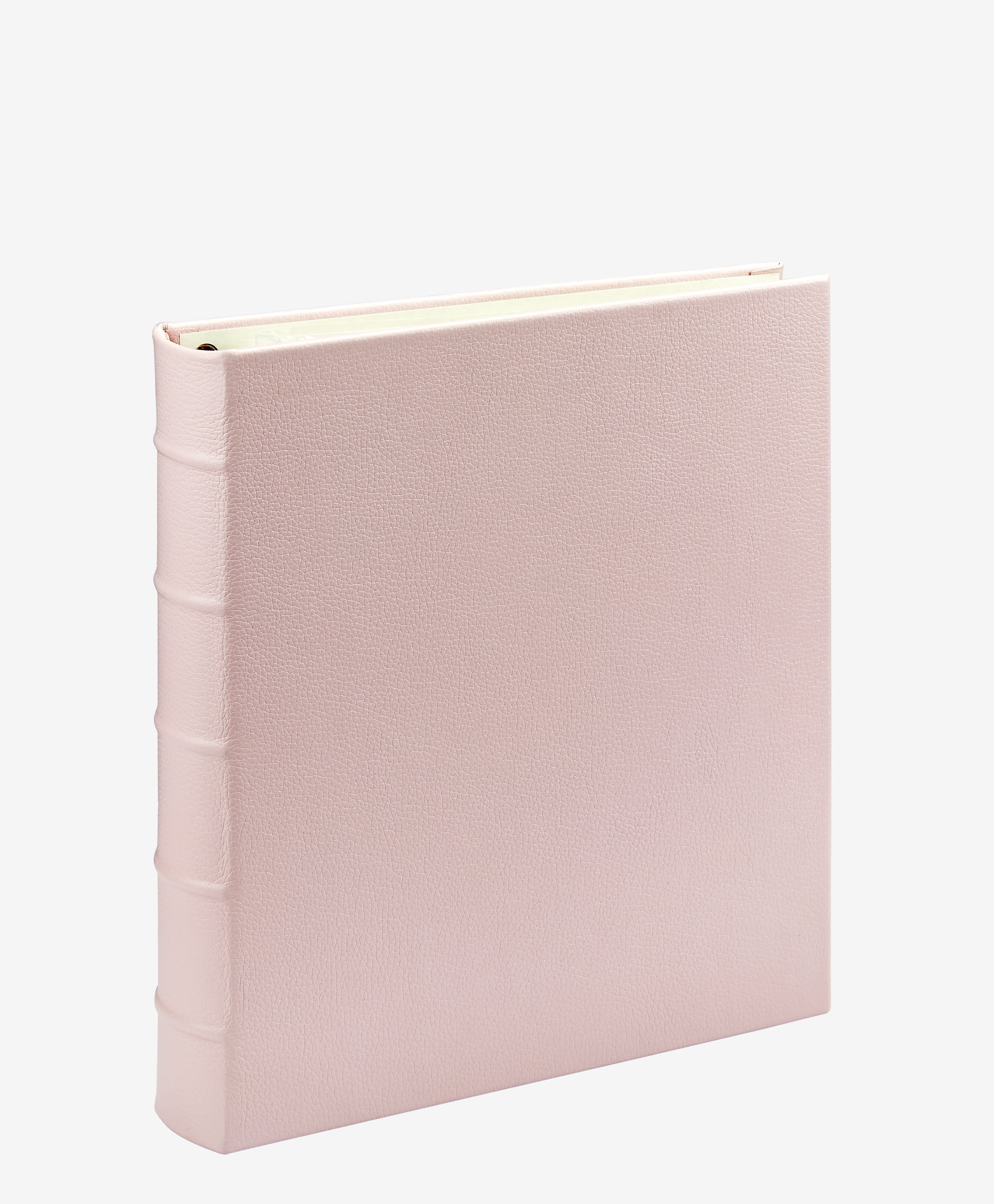 Large 3-Ring Clear Pocket Album
