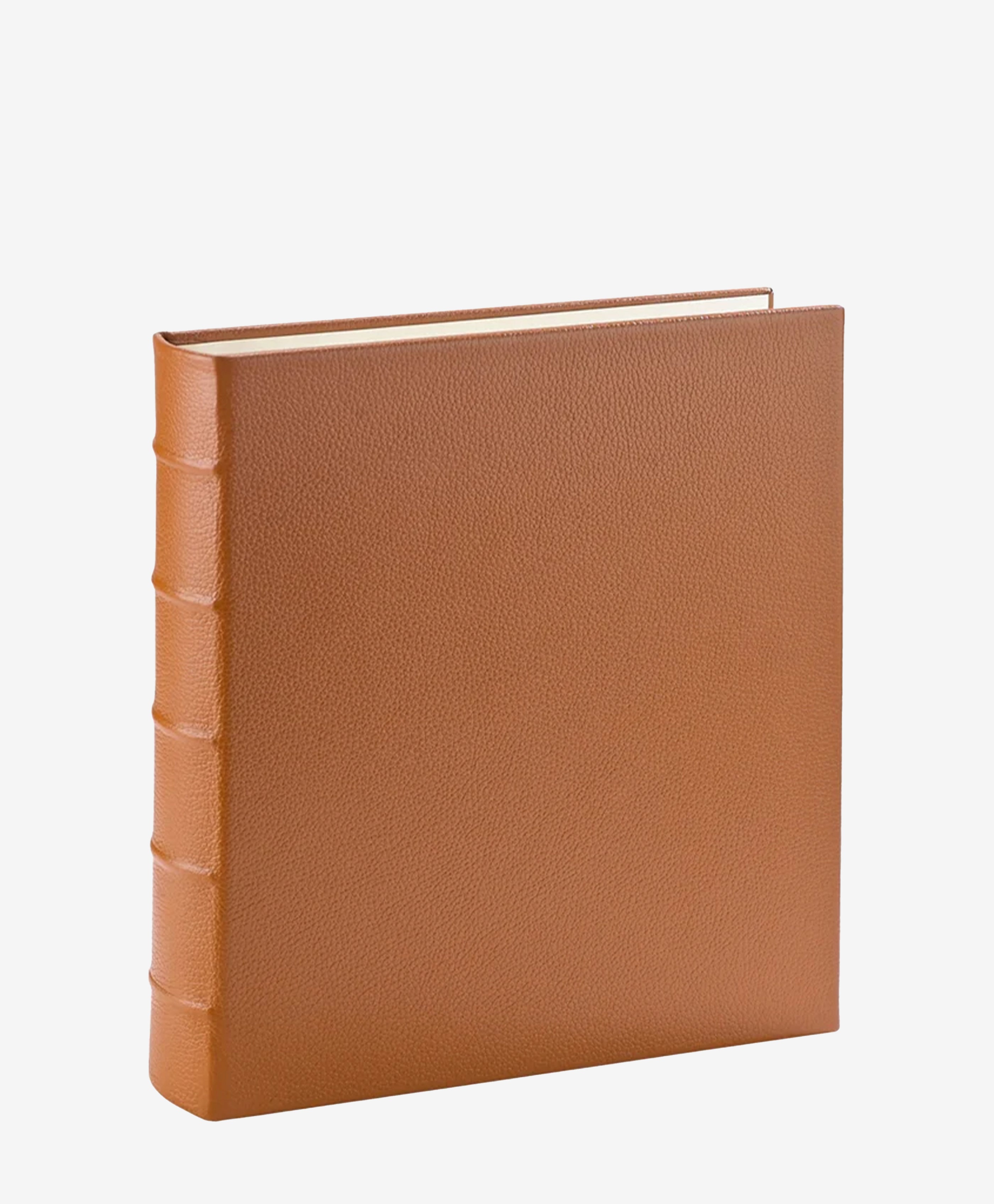 Large 3-Ring Clear Pocket Album