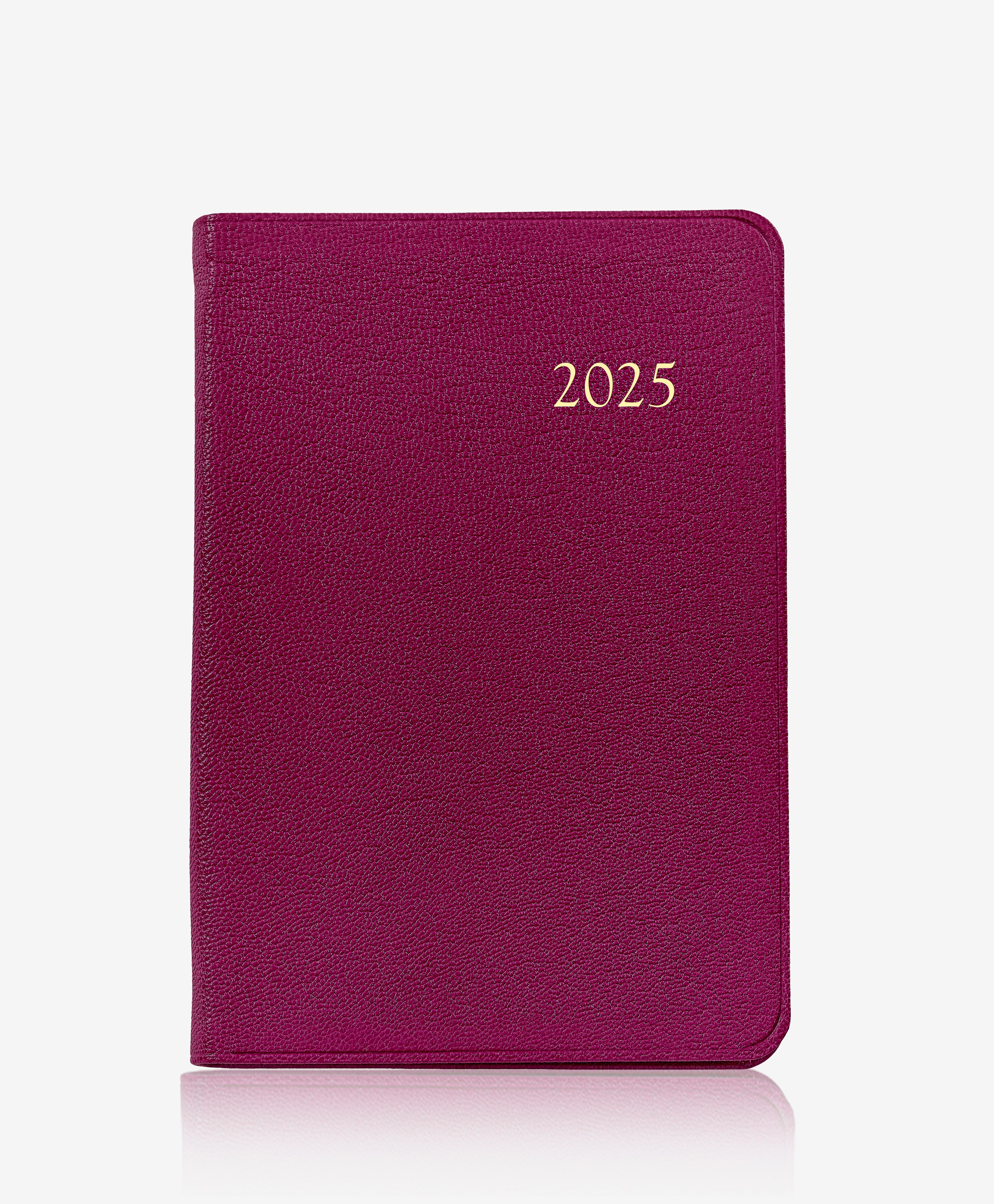 2025 Daily Journal