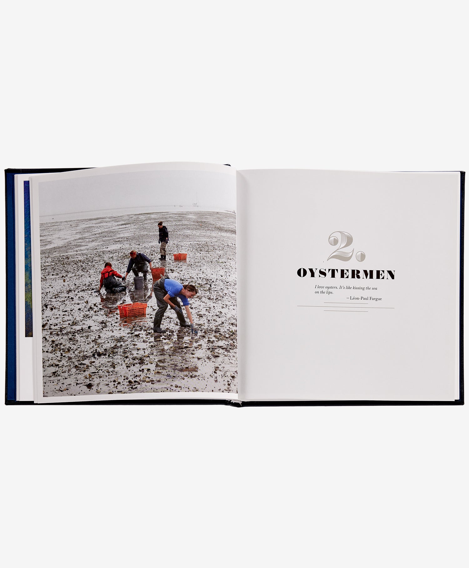Oysters: A Celebration in the Raw