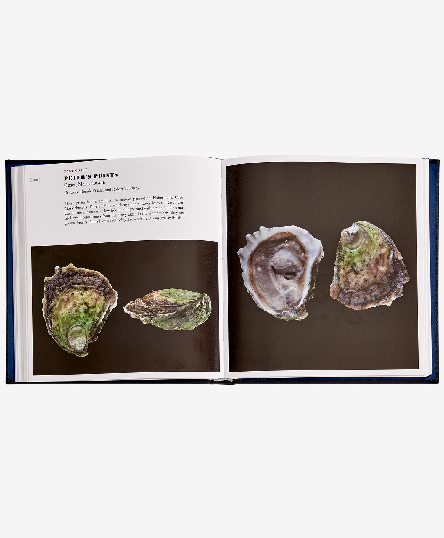 Oysters: A Celebration in the Raw
