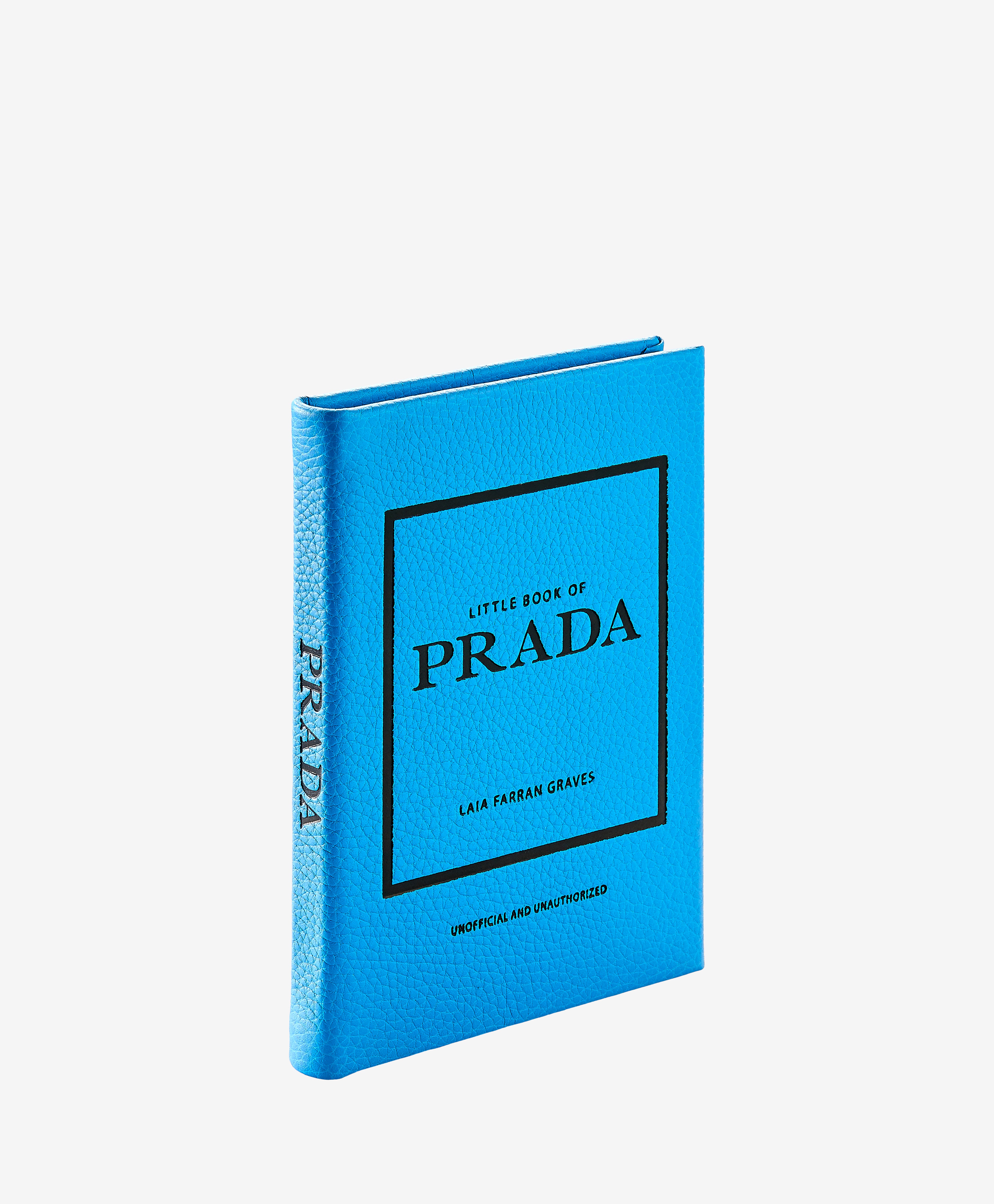Little Book of Prada  Cornflower Pebble Grain Leather – GiGi New York