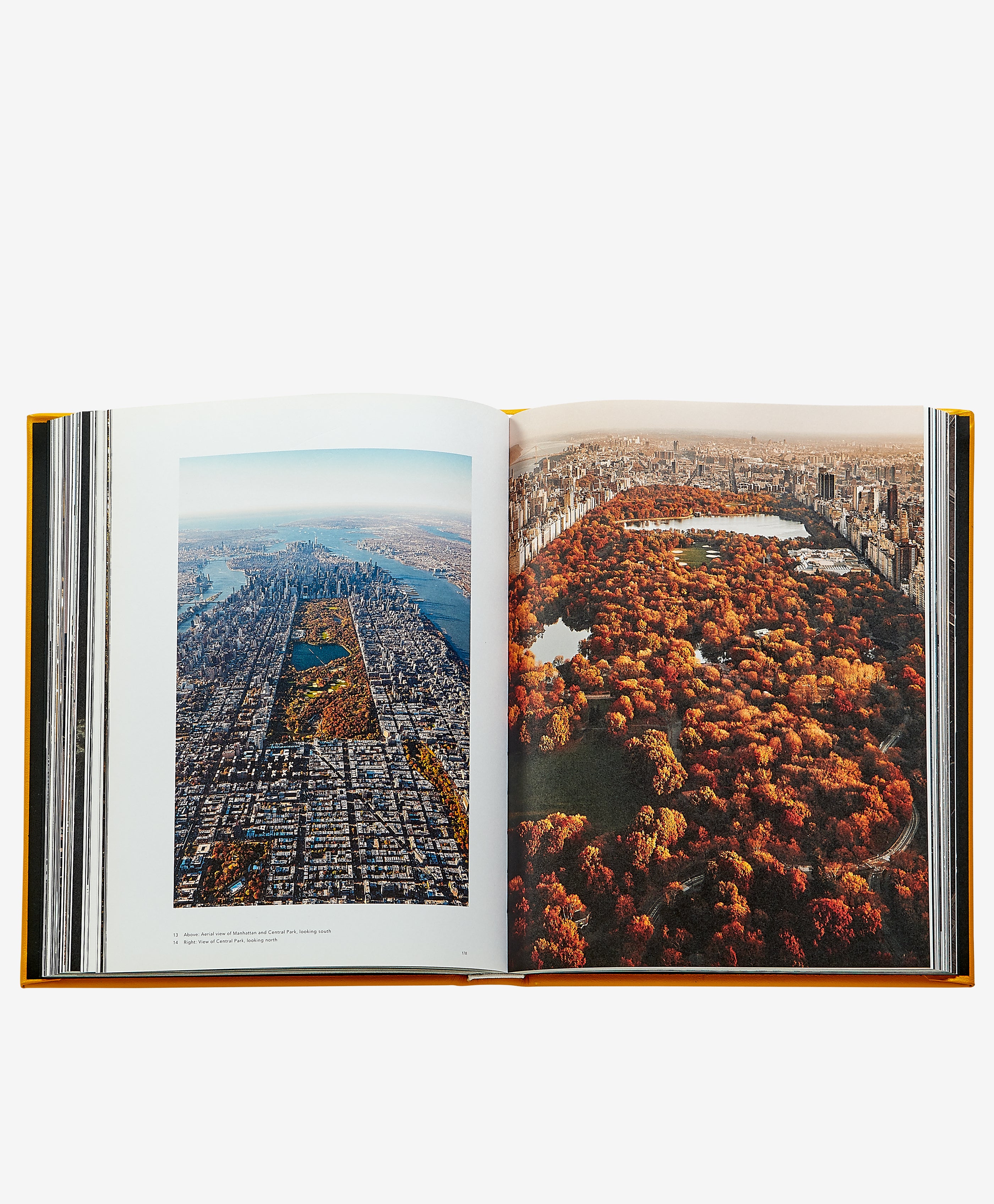 Trope New York