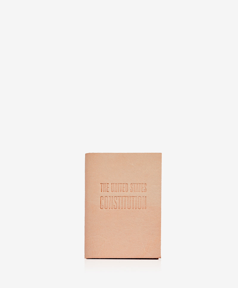 Mini United States Constitution